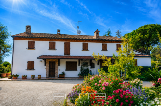 Villa contemporanea immersa nel verde con piscina ad Agugliano