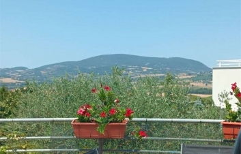 Bifamiliare con giardino