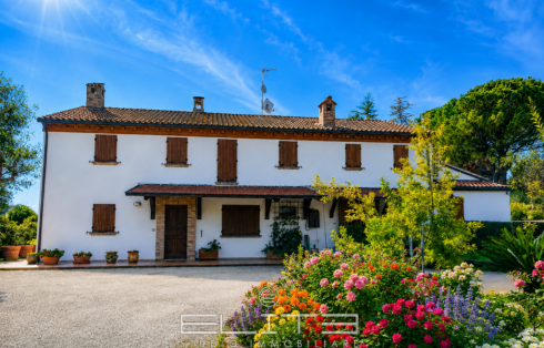 Villa contemporanea immersa nel verde con piscina ad Agugliano
