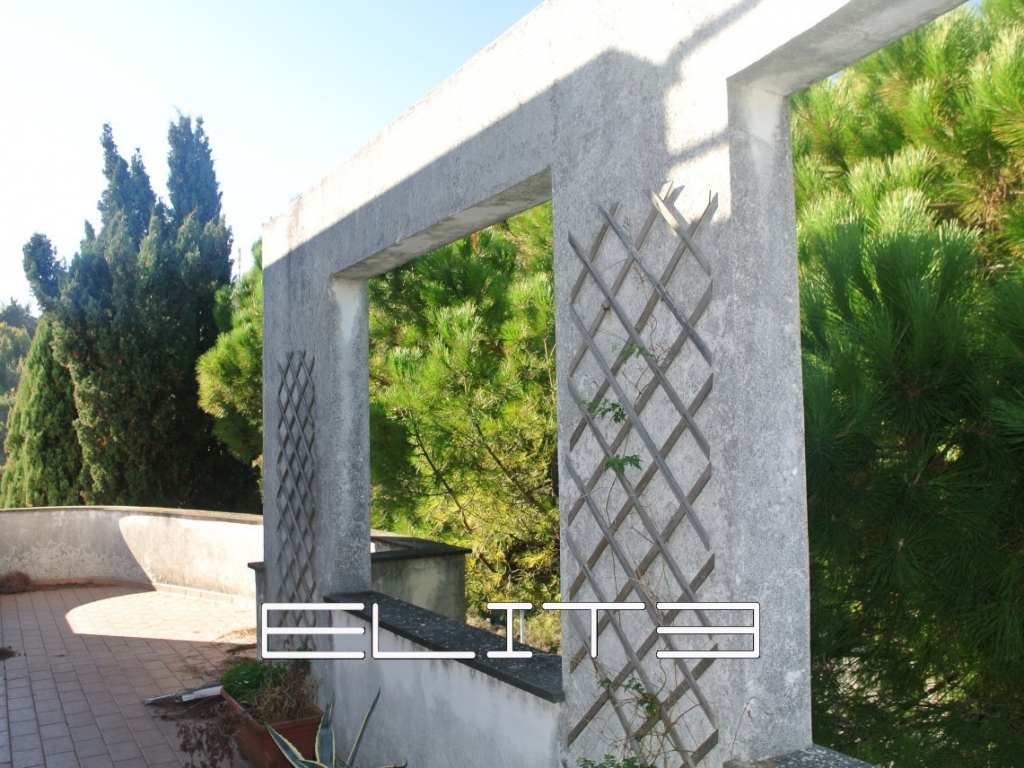 003__dsc_5865.jpg