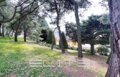 021__img_3658.jpg