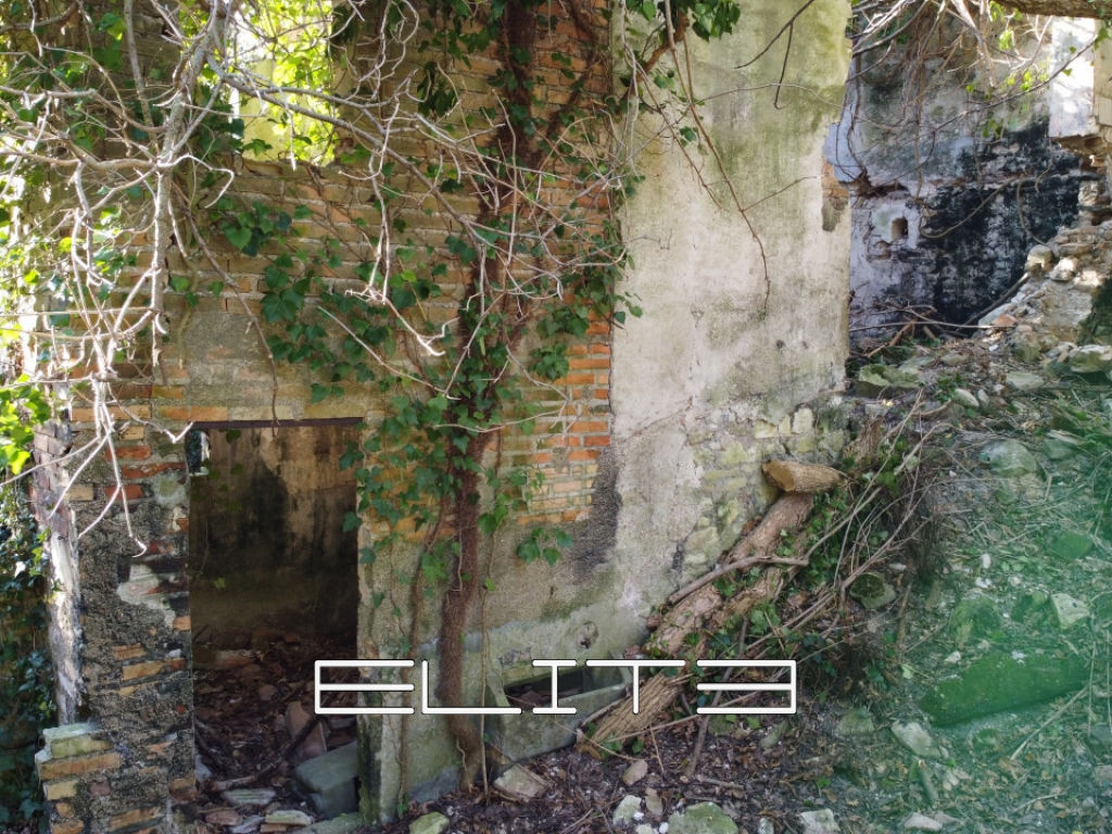 005__dji_0016.jpg