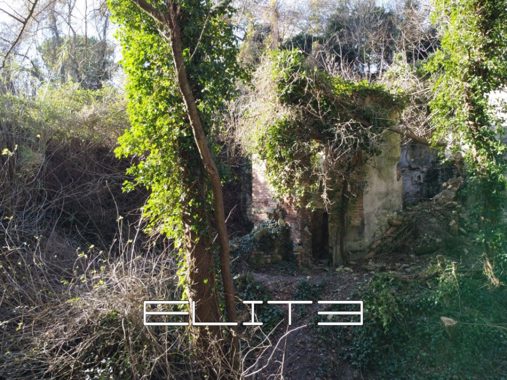 006__dji_0009.jpg