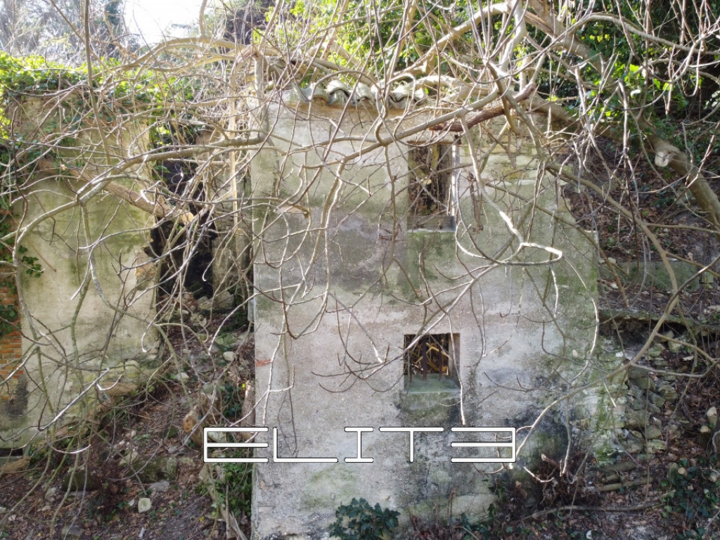 015__dji_0032.jpg