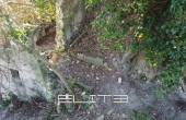014__dji_0020.jpg