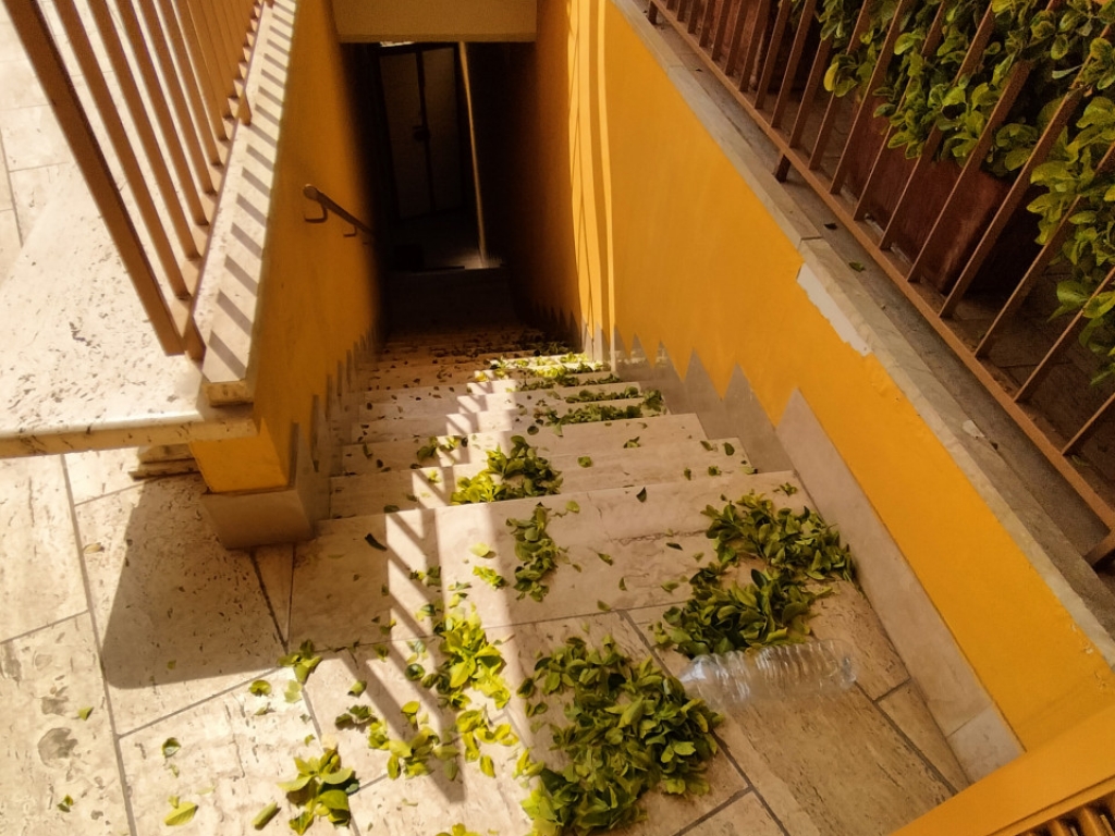 012__img20230421113225.jpg